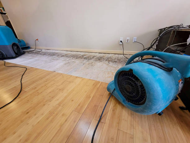 Professional Water Removal technician working in Granger, IN